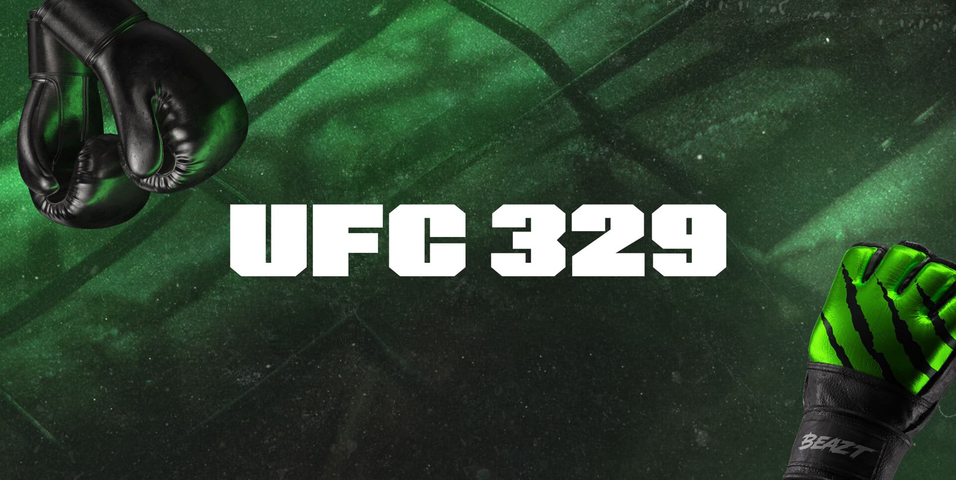 UFC 329