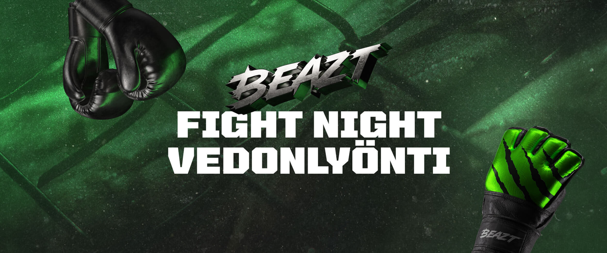 Voimaa On Fight Night 13.6.