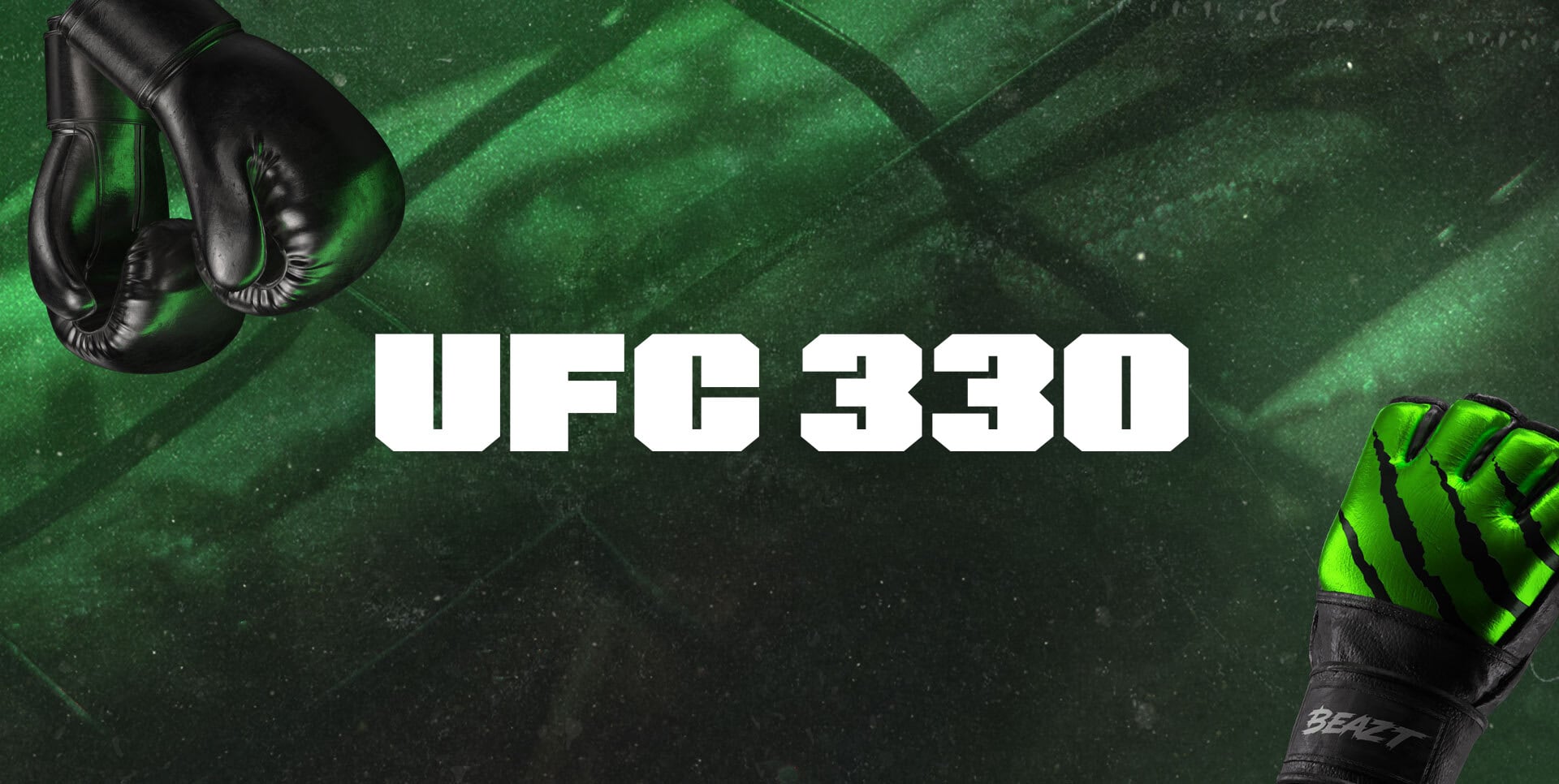 UFC 330